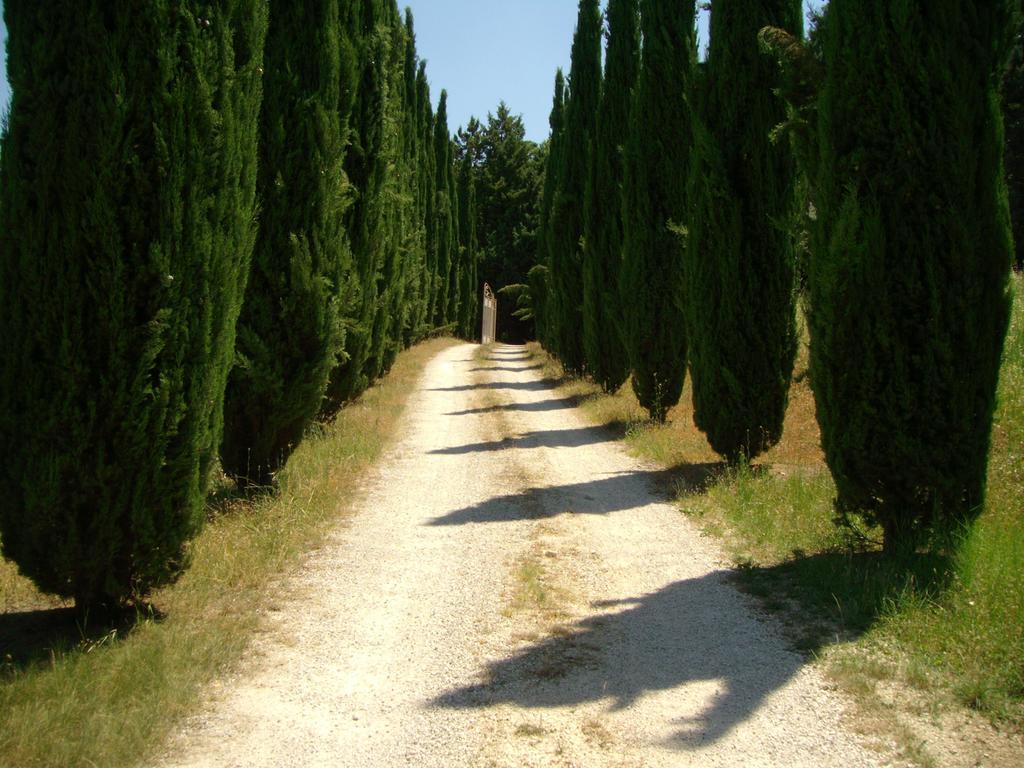 B&B Il Grotto Bevagna Exterior foto